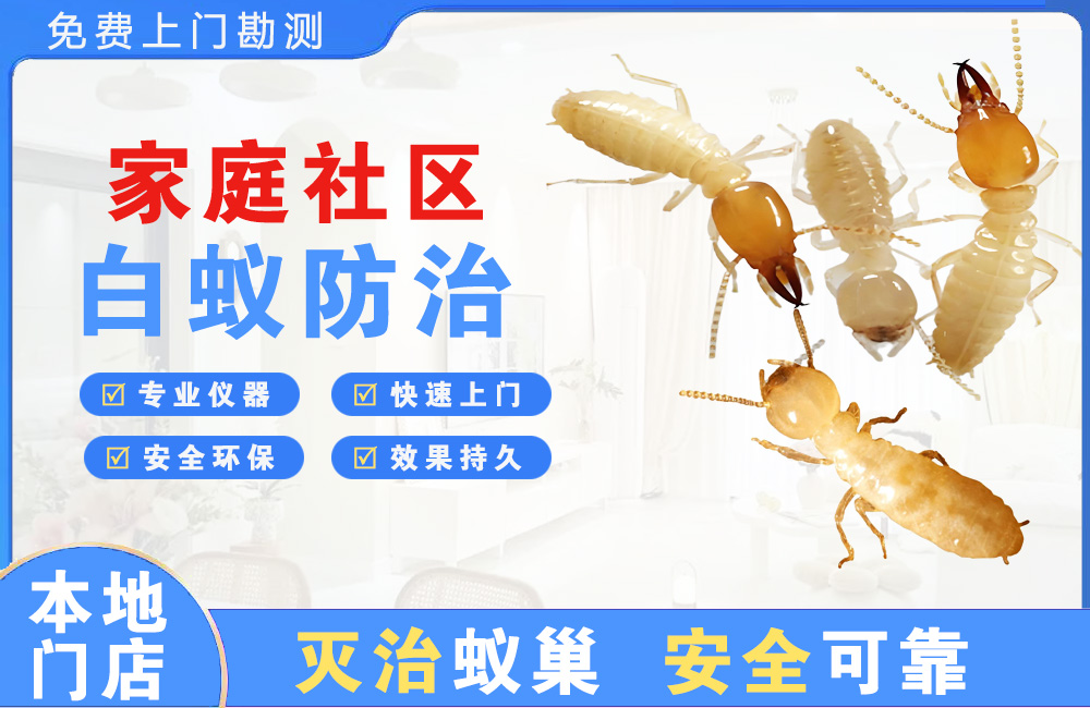大丰家庭社区白蚁防治