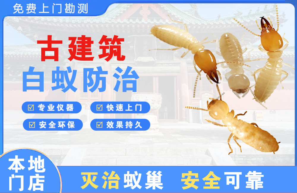 大丰古建筑白蚁防治