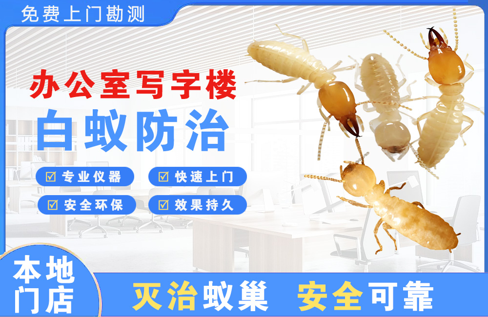 大丰办公室写字楼白蚁防治
