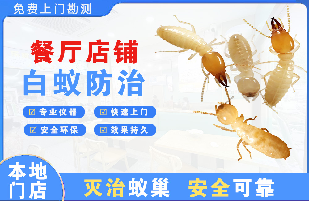 大丰餐厅店铺白蚁防治